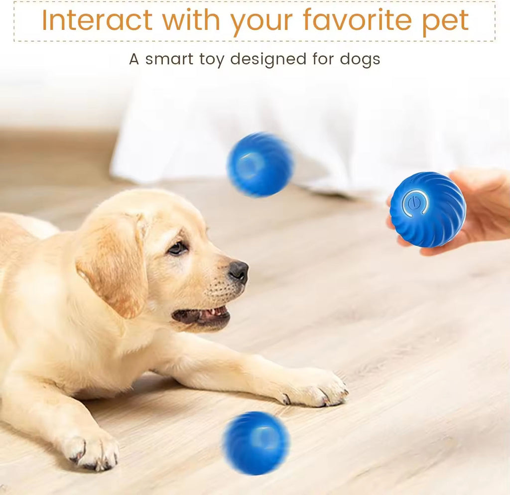 Interactive Anti-Boredom Dog Ball