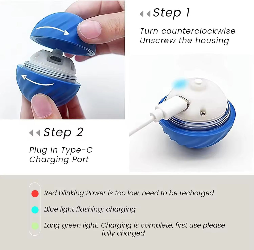 Interactive Anti-Boredom Dog Ball
